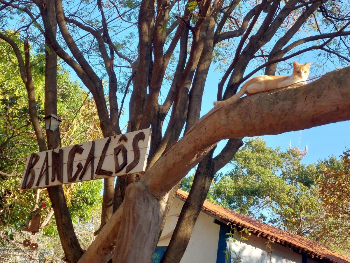 Bangalôs Cipó
