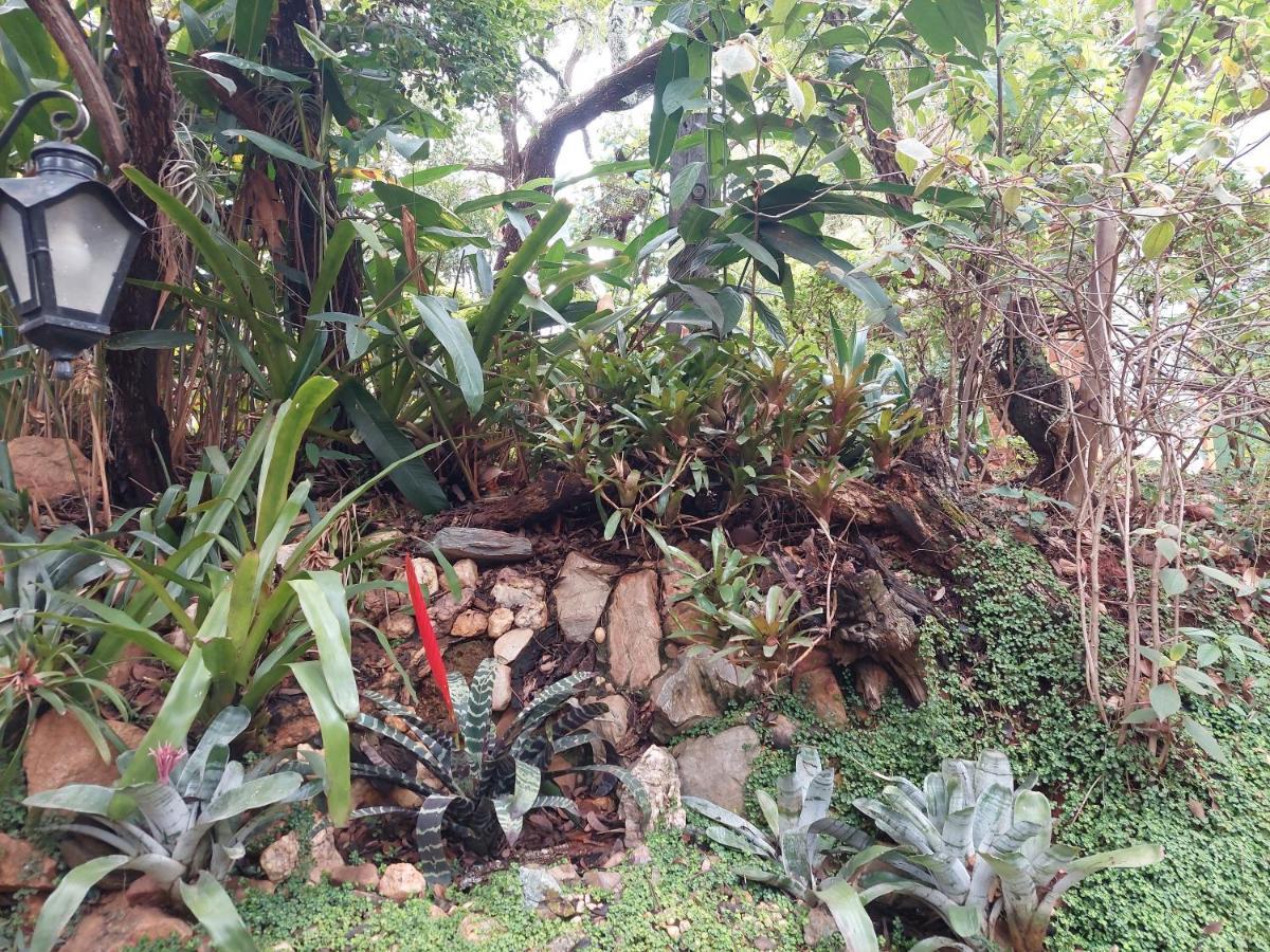 Bangalôs Cipó Inn